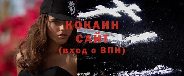 крисы Баксан