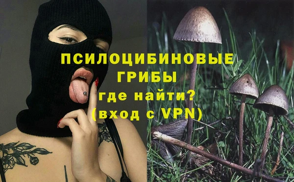 крисы Баксан