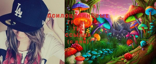 крисы Баксан