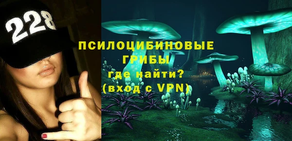 дмт Балахна