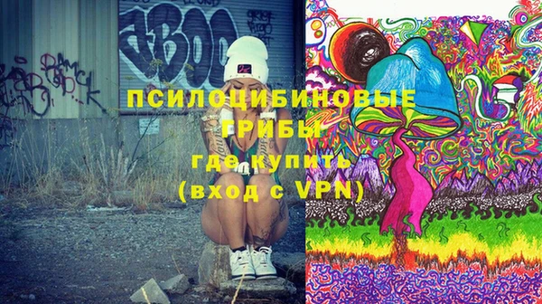 крисы Баксан