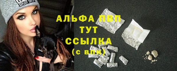крисы Баксан