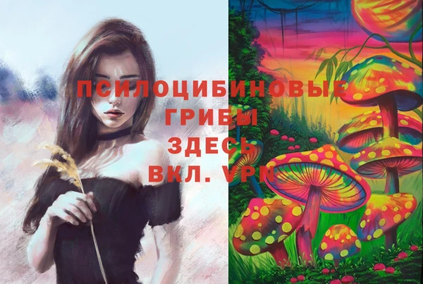 дмт Балахна
