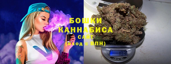 крисы Баксан