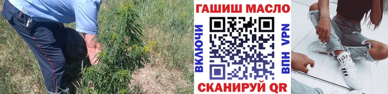 как найти   Сатка  Дистиллят ТГК вейп 